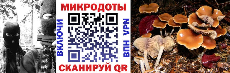 Псилоцибиновые грибы мухоморы Купить где Почеп